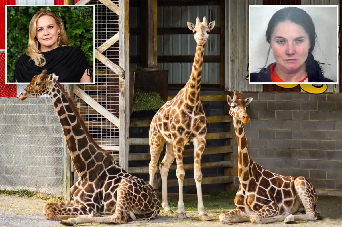 Alicia Silverstone is offering a $50,000 reward for the safe return of baby giraffes that went missing from a struggling zoo seven months ago.