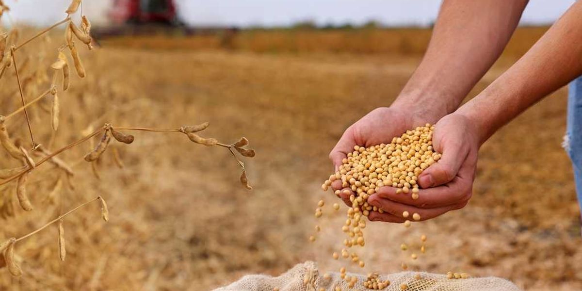 Appreciate the sun, the carbon dioxide, and the farmers — not the climate critics