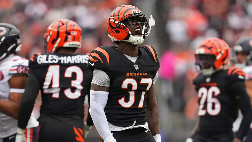 Bengals in disarray following defeat to Bears