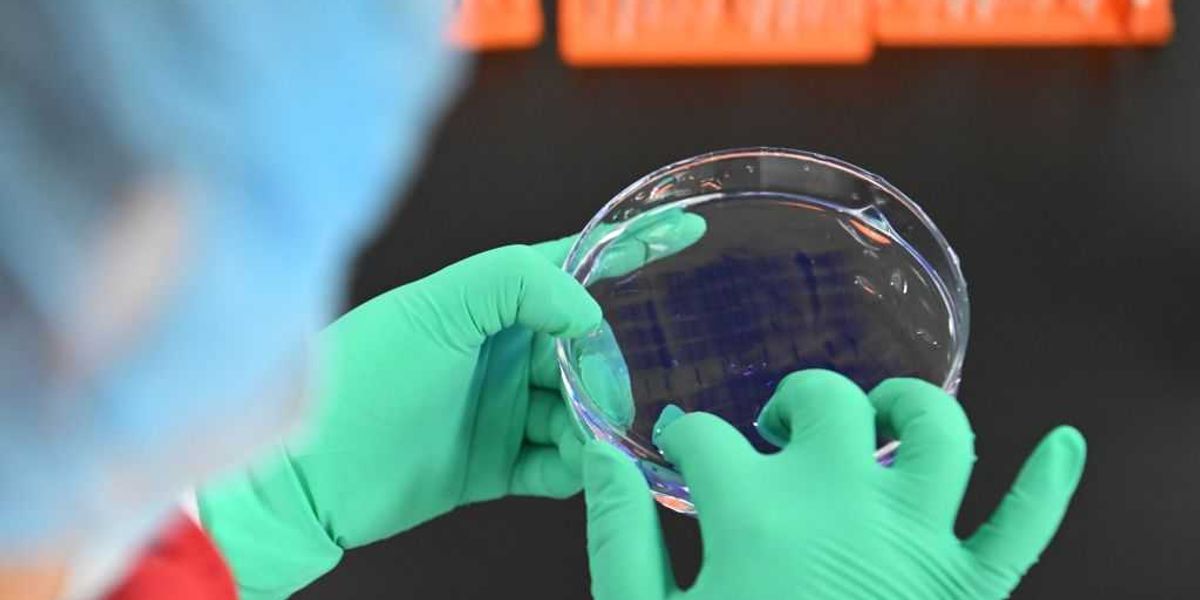 Bio-smuggling scandal at the University of Michigan intensifies: Additional Chinese scholars implicated in suspected scheme