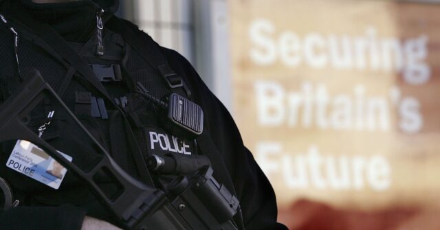 British Man Detained for LinkedIn Photo with Gun in Florida