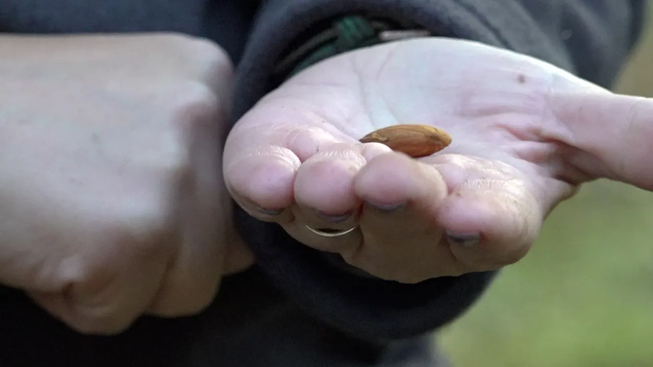 California farmers resist the Prop 50 redistricting proposal