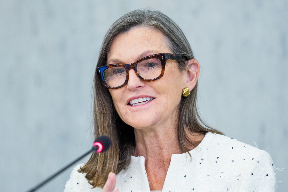 Cathie Wood increases her holdings in a veteran's stock