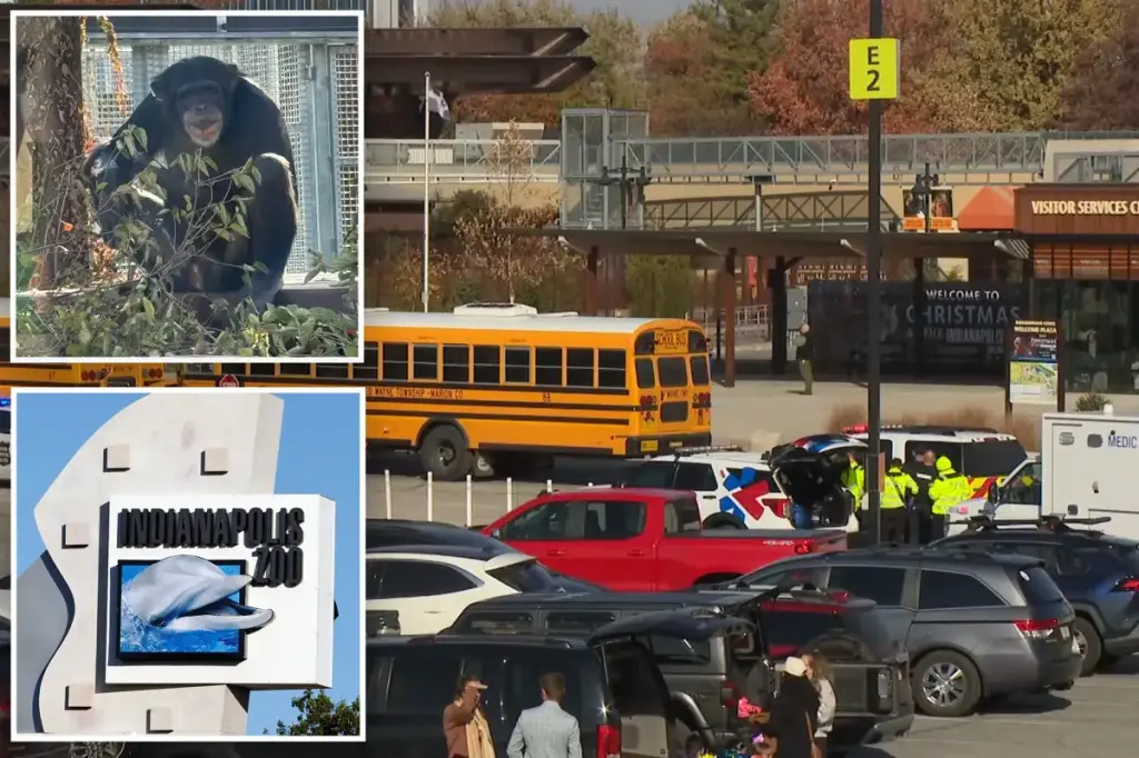 Chimp breaks free from Indianapolis Zoo area, leading to lockdown with 37 children on visit
