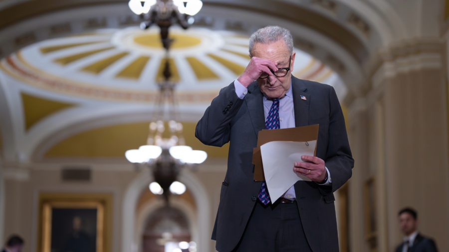 Chuck Schumer disregards Donald Trump’s comments on direct health care payments