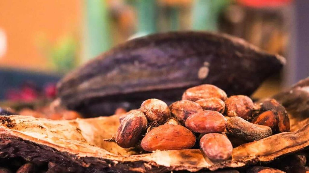 Cocoa Prices Affected by US Tariff Reduction
