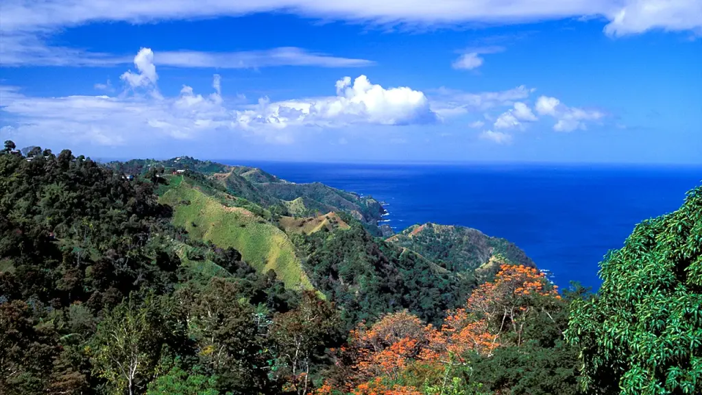 Colorado man Christopher Brown fatally stabbed in Tobago, suspect taken into custody