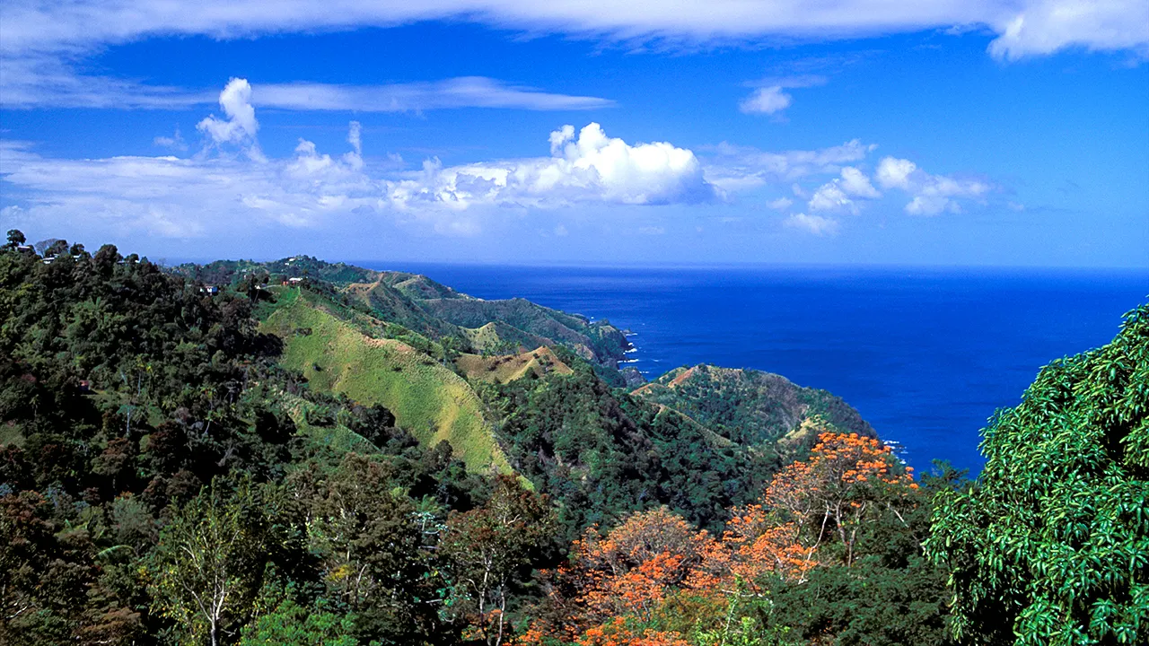 Colorado man Christopher Brown fatally stabbed in Tobago, suspect taken into custody