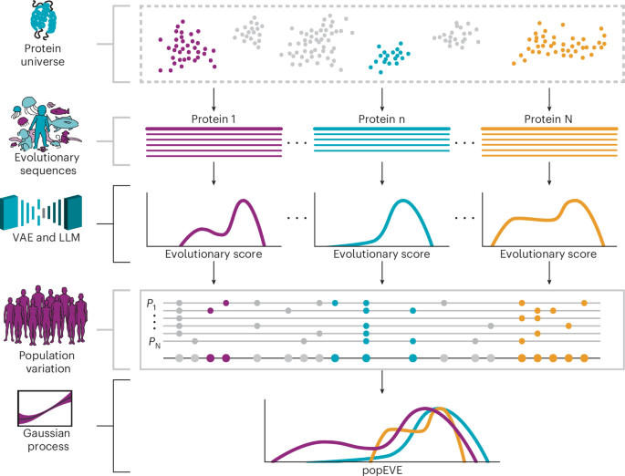 Comprehensive model of human disease genetics based on the proteome