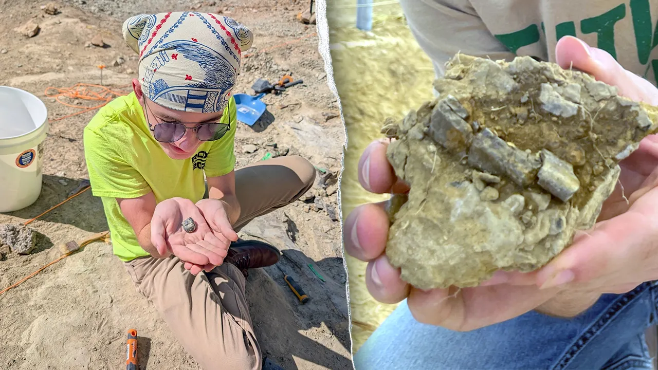 Connecticut student discovers 150-million-year-old fossil in Montana
