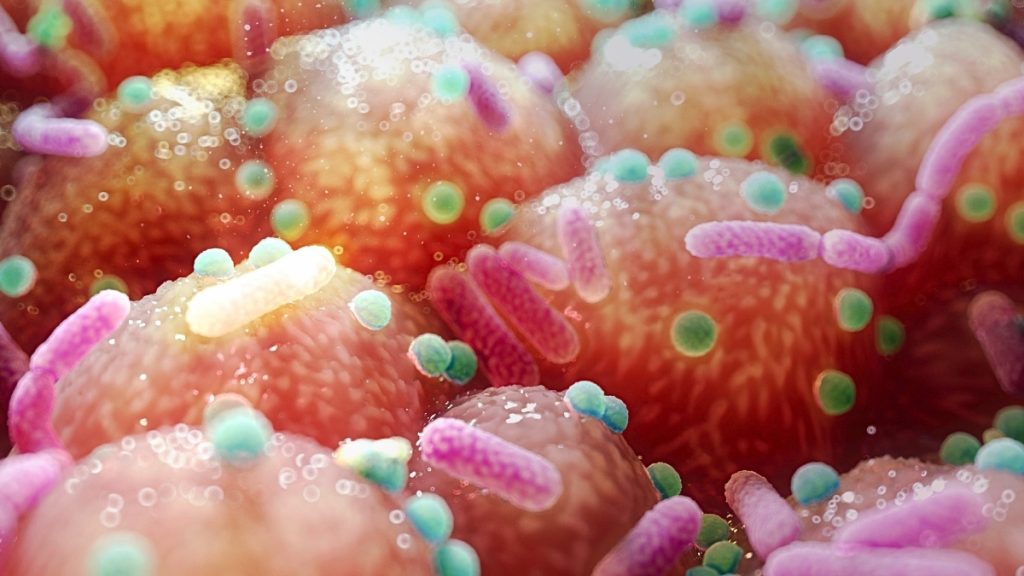 Connection Between Gut Bacteria and Parkinson's Points to Surprisingly Easy Treatment