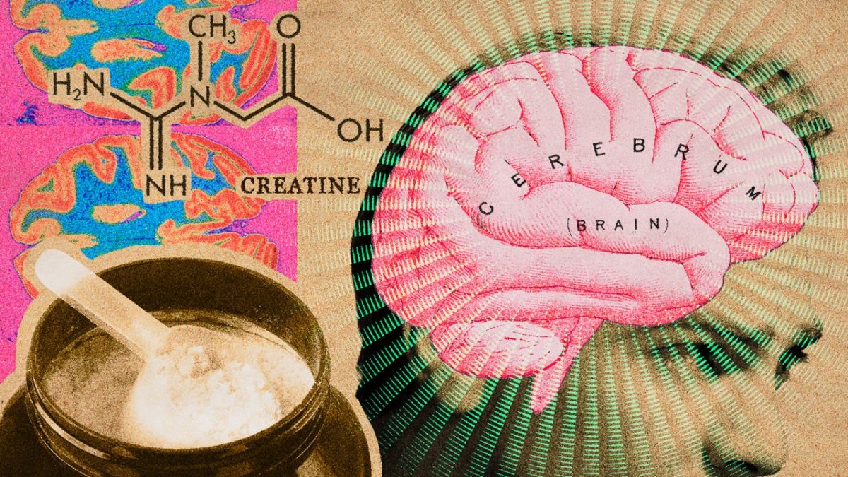 Creatine Can Help Counteract the Effects of Lack of Sleep and Stress