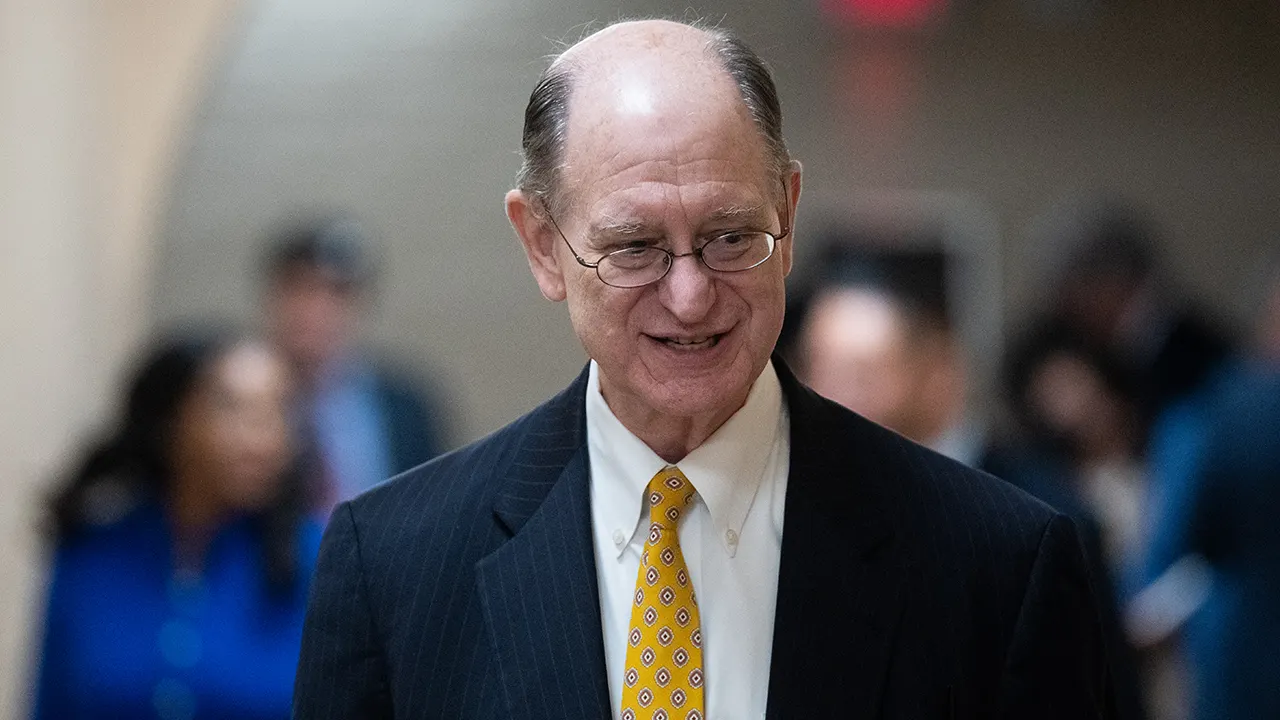 Democratic congressman Brad Sherman claims he did not watch porn while on a flight.