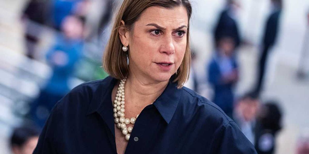 Democratic lawmakers encourage federal agents to oppose Trump's agenda in awkward video