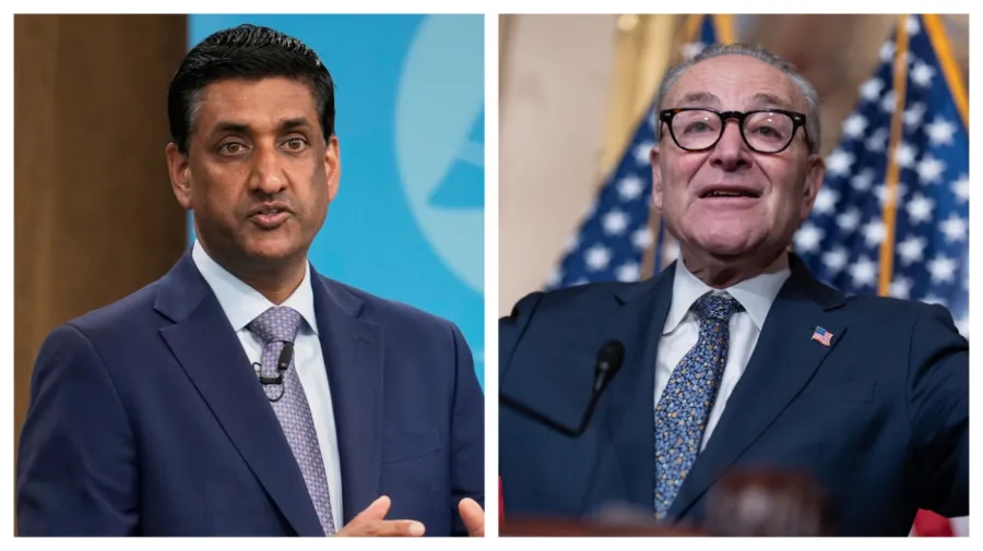 Democratic representative says Schumer 'needs to be replaced'