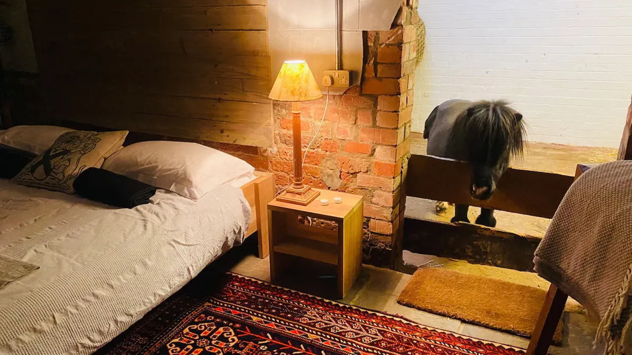 Distinctive Airbnb barn featuring miniature horse Basil priced at $230 a night