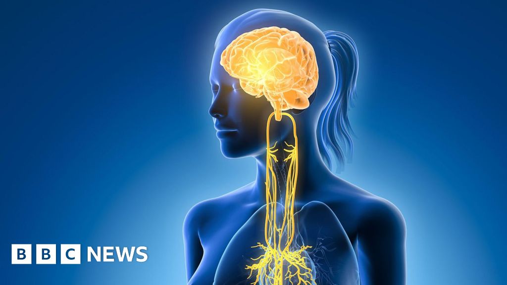 Do you ever want to disconnect? Your vagus nerve could be the answer.