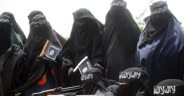 Emmer Requests Inquiry into Minnesota Funds Directed to Al Shabaab