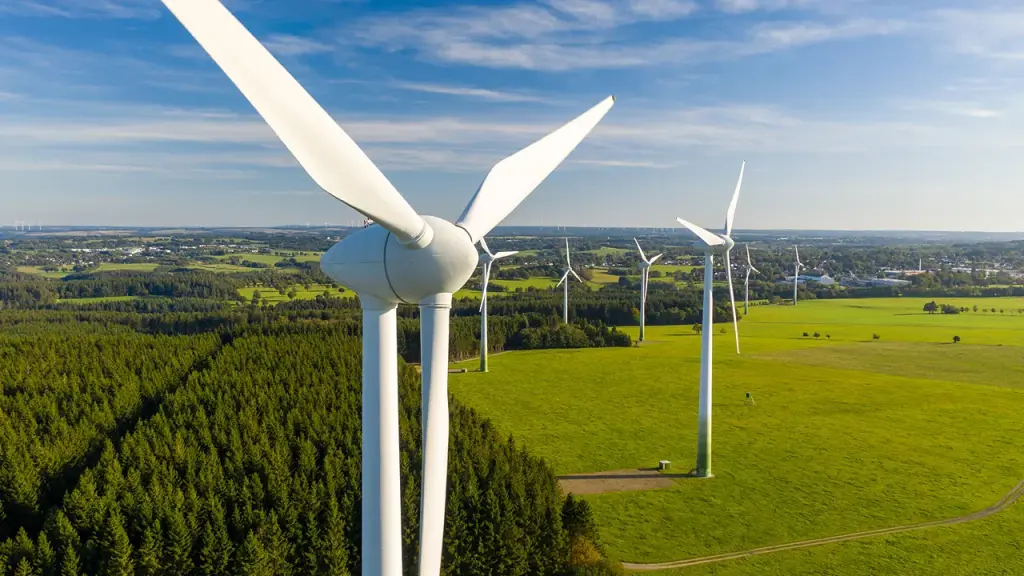 Energy company faces heavy fines for the death of bald eagles