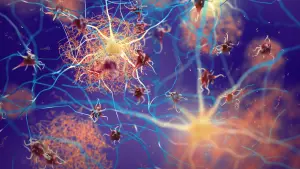 Enhancing a specific protein aids the brain in defending against Alzheimer’s.