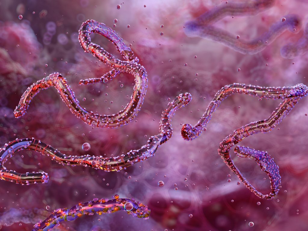 Ethiopia announces its first case of the Marburg virus.