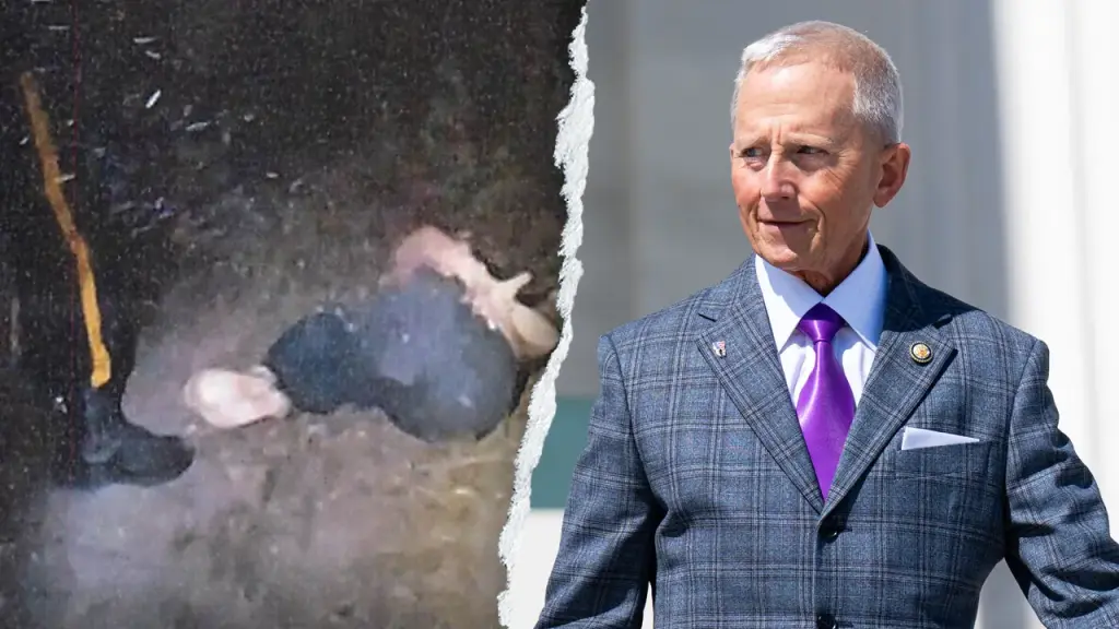 Ex-aide to Rep Van Drew accused of staging a political attack on herself