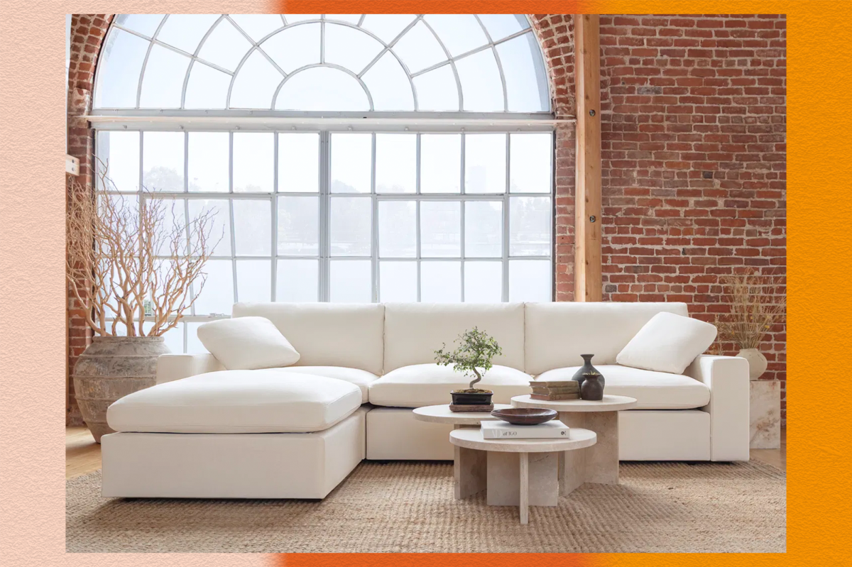 Explore 7th Avenue's Black Friday Sale for a stylish upgrade