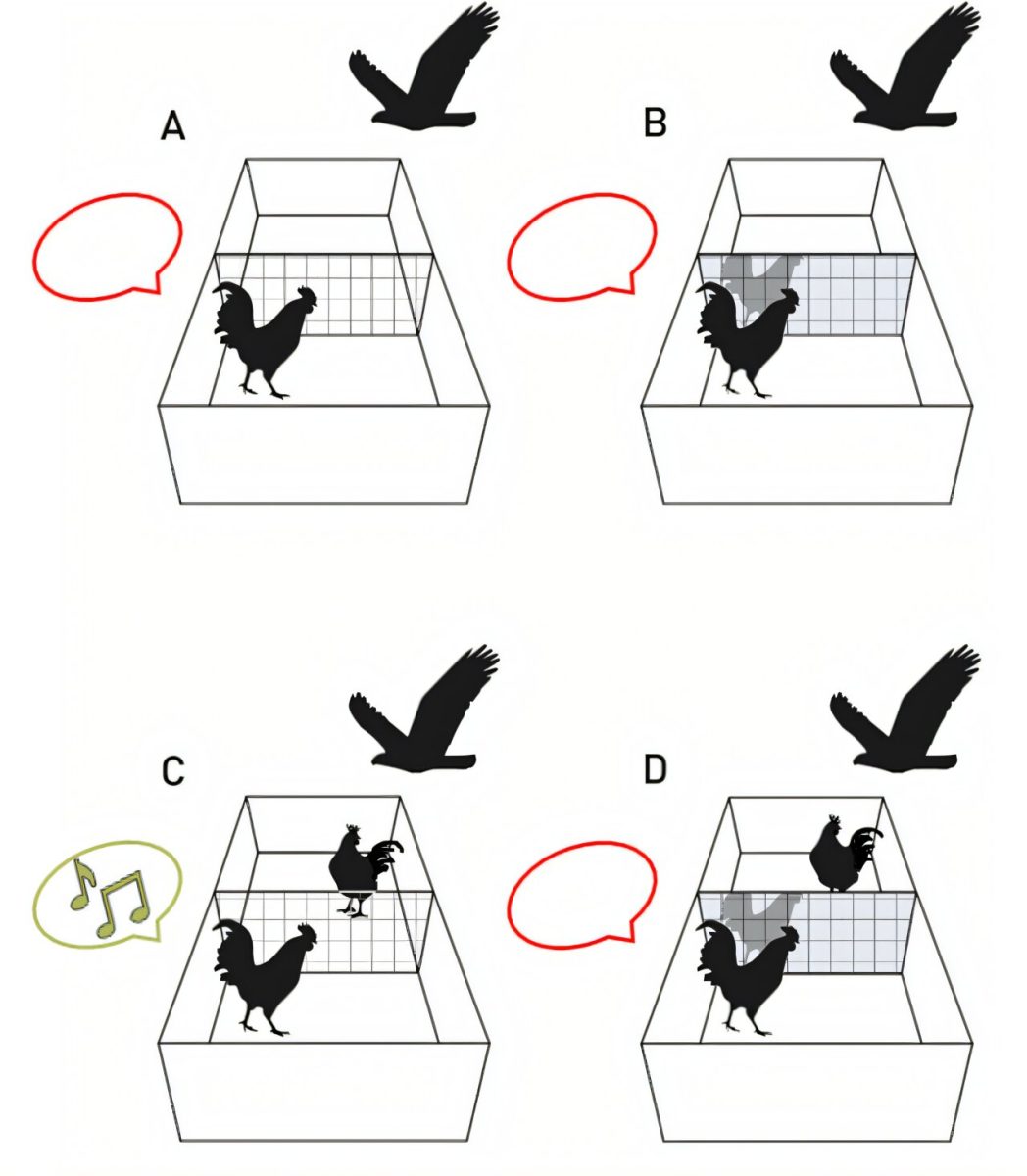 Exploring why certain species attained consciousness while others did not