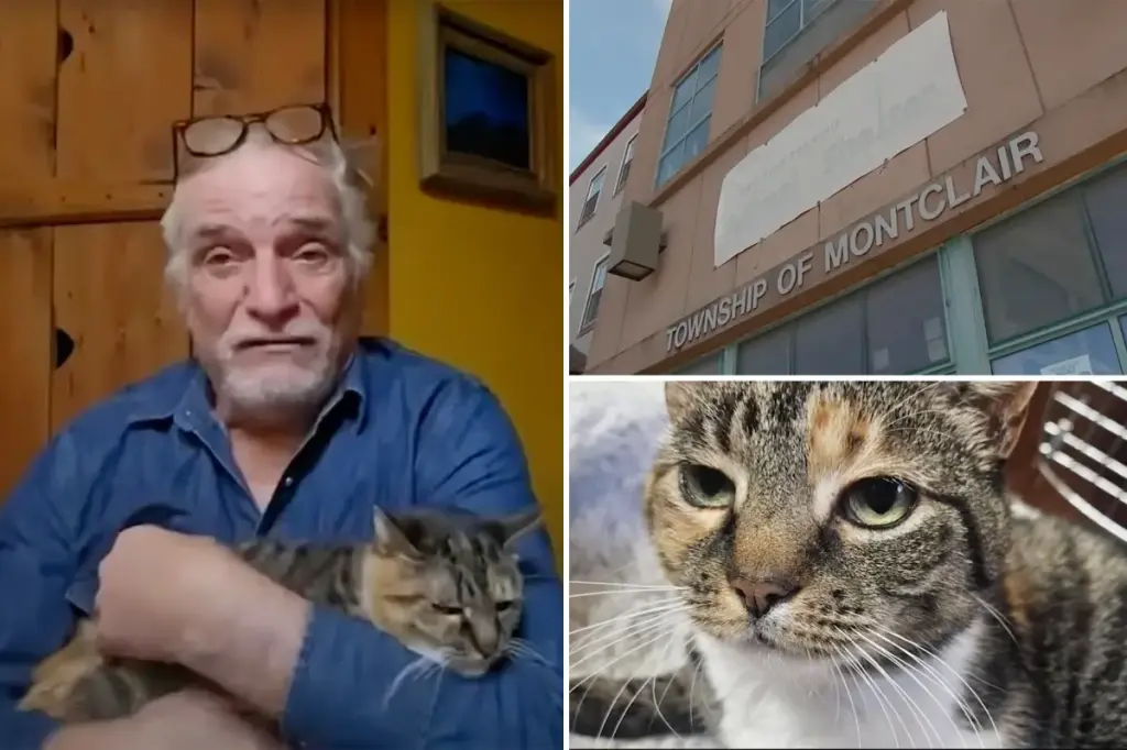 Family in New York reunites with cat a decade after it went missing