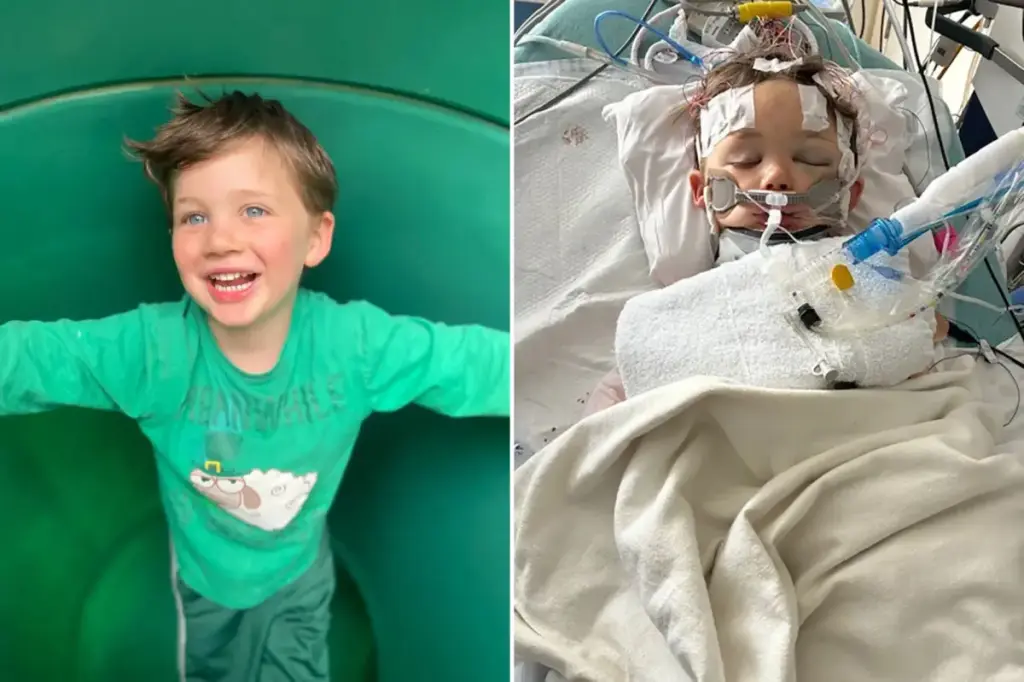 Family takes legal action against San Diego following the death of 4-year-old boy caused by a fallen tree branch