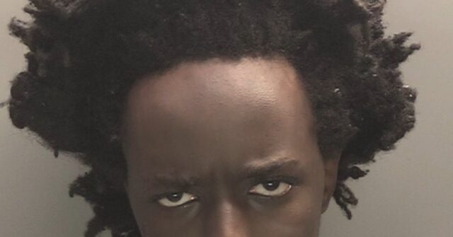 Father of Southport Killer Implies Son Influenced by Migration History