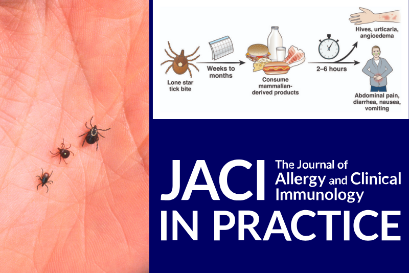 Father who was a pilot is the first recorded death from a meat allergy linked to a tick bite.