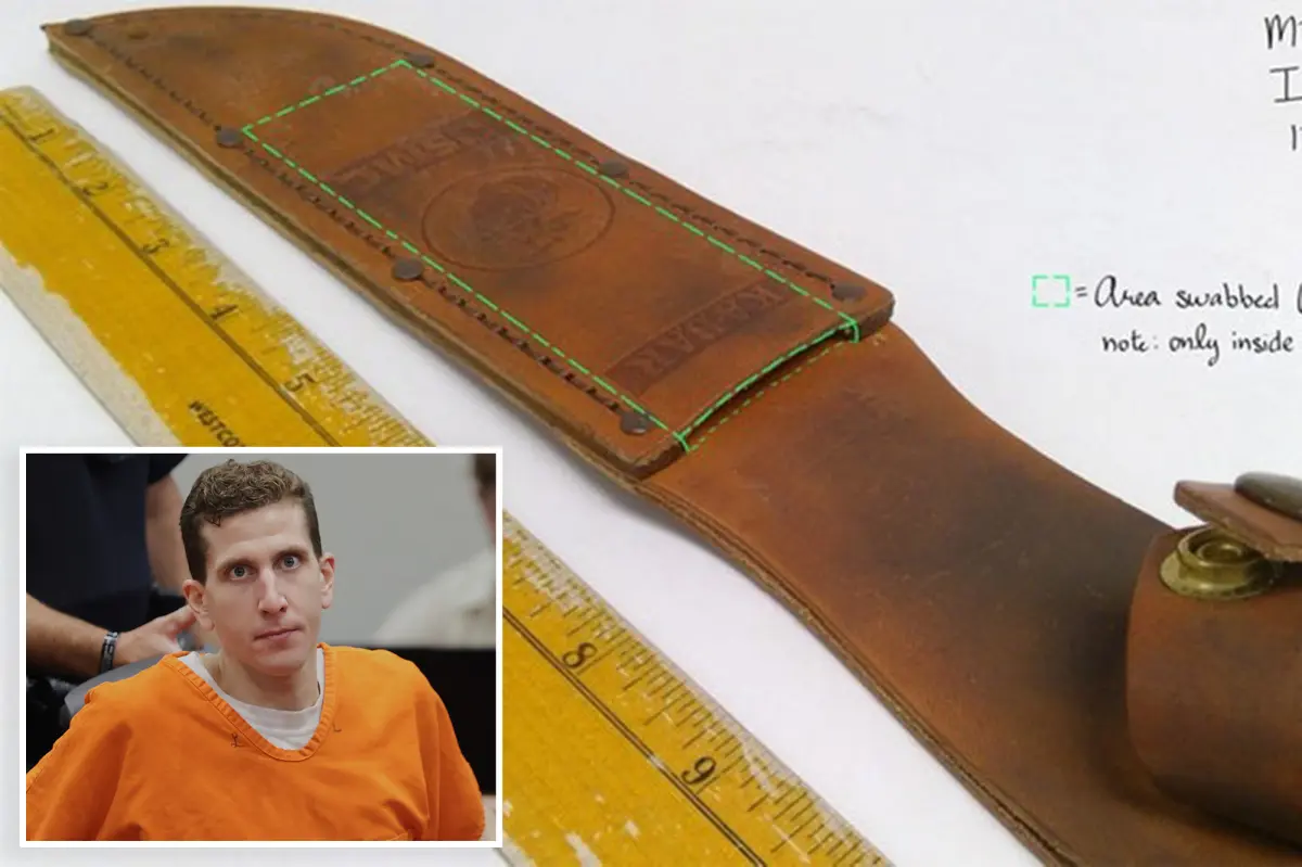 First image of the knife sheath connected to Bryan Kohberger in the University of Idaho murders
