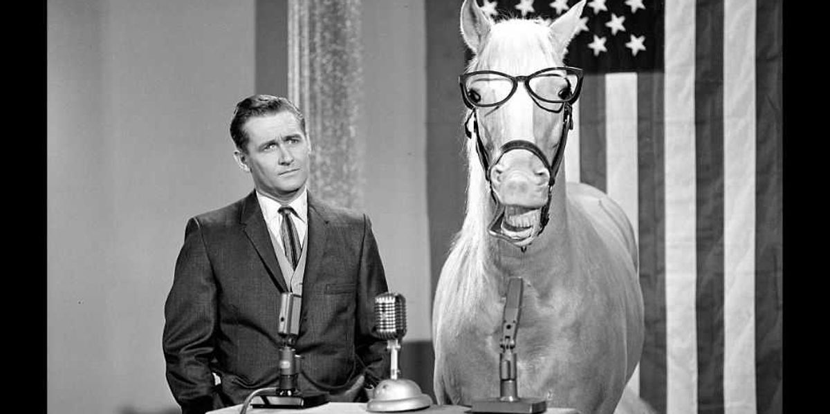 Fit as a fiddle: My experience in the world of ivermectin