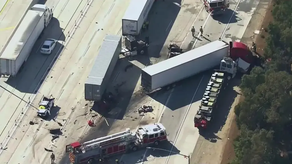 Florida lawmaker focuses on sanctuary states regarding illegal CDL problem