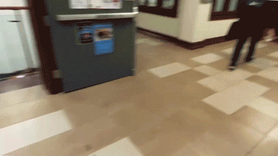 Footage captures conservative flyers being removed at Gettysburg College.