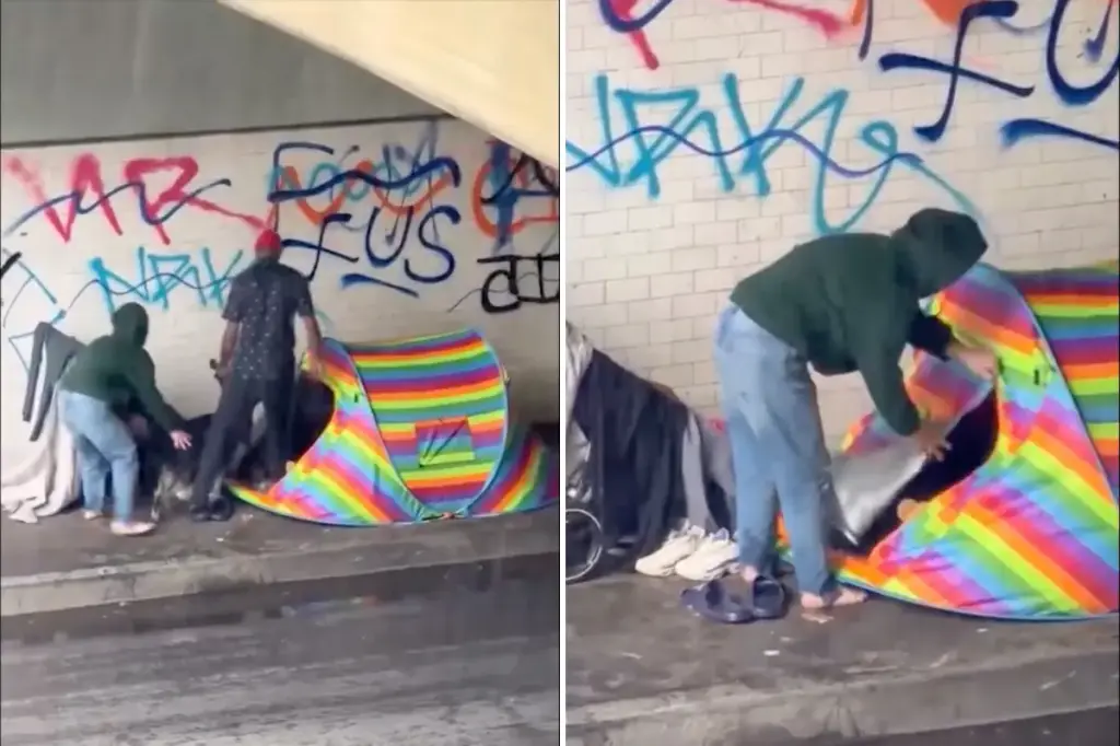Footage of a dog being abused in a homeless camp causes strong anger online