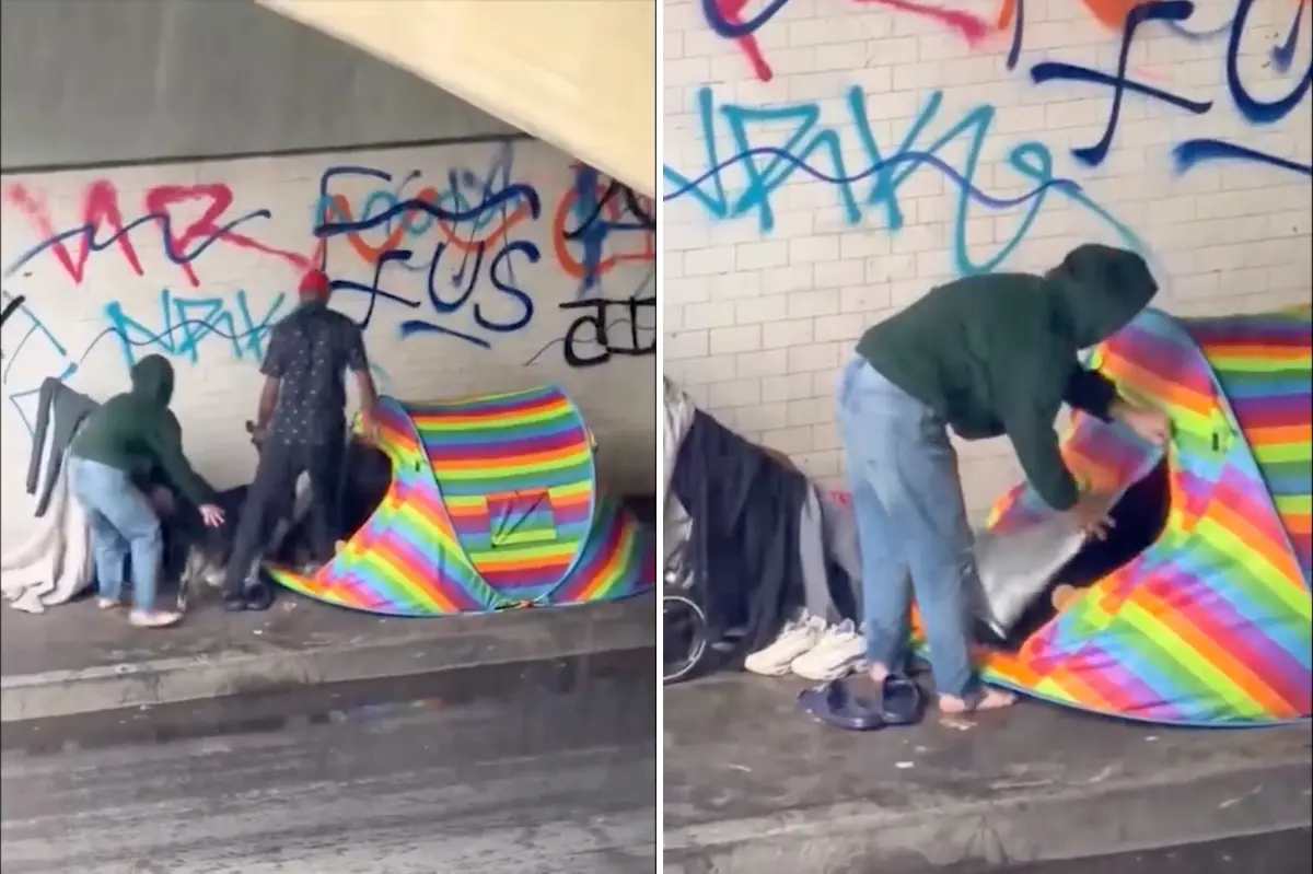 Footage of a dog being abused in a homeless camp causes strong anger online