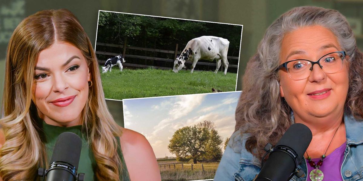 'Franken-wheat': The true reason why Americans are avoiding bread now