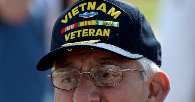 Giffords Advocates Increased Gun Control for Veterans