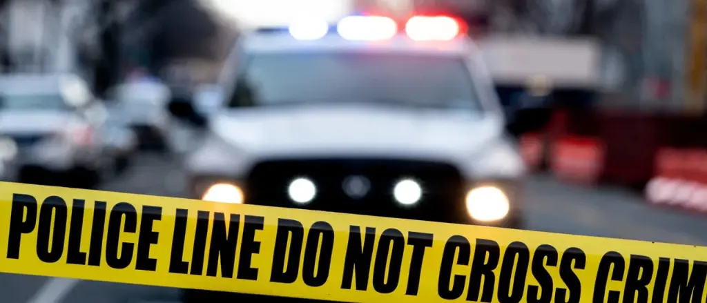 Government Claims Man Pretended to Have Seizure to Postpone Wife's Deportation After She Stabbed Coworkers