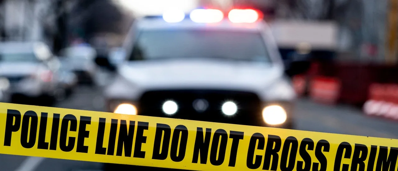 Government Claims Man Pretended to Have Seizure to Postpone Wife's Deportation After She Stabbed Coworkers