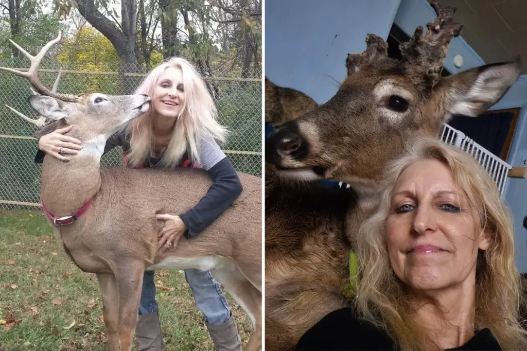 Grandmother in Ohio killed by deer she saved