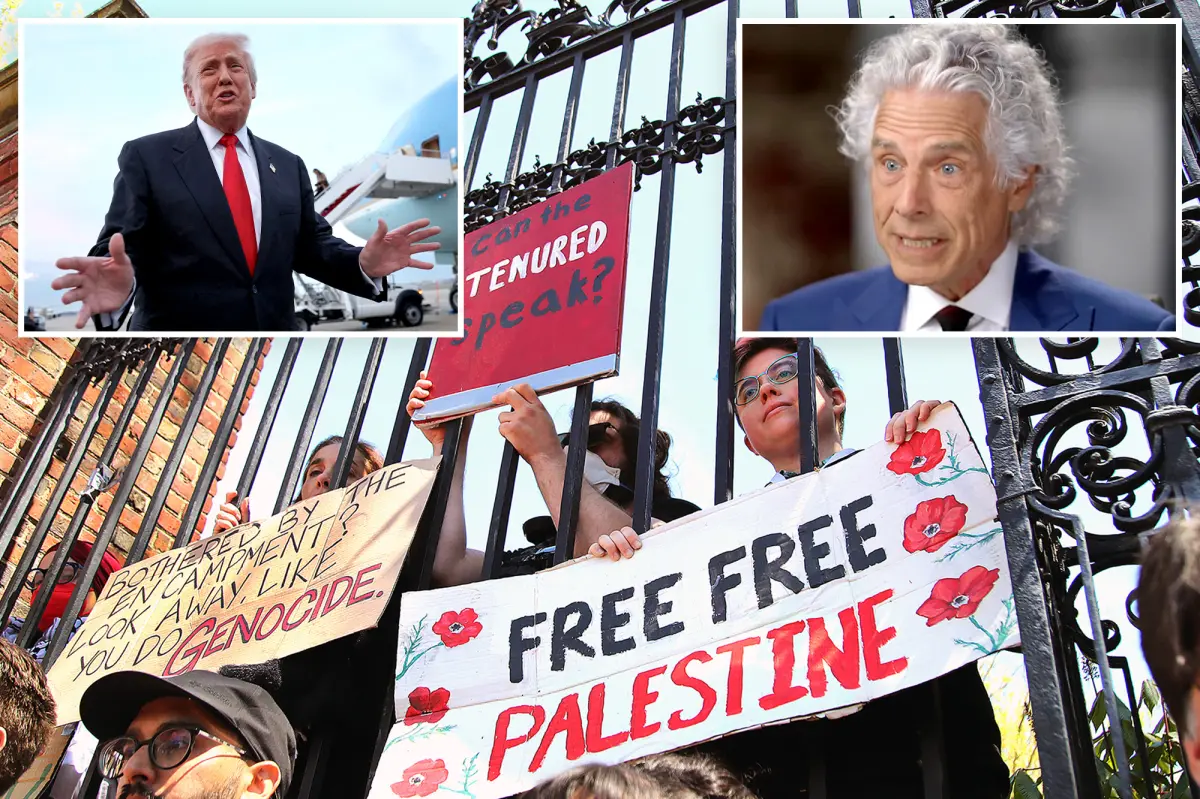 Harvard professor discusses Trump's remarks about schools being a 'liberal mess'