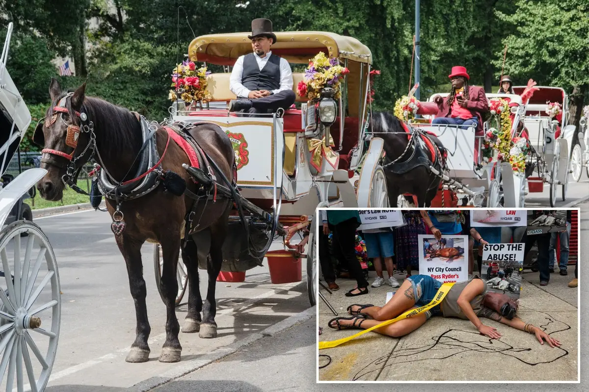 Horse carriage drivers' union criticizes animal activists in $1M lawsuit for supposed smear campaign: 'Malicious lies'