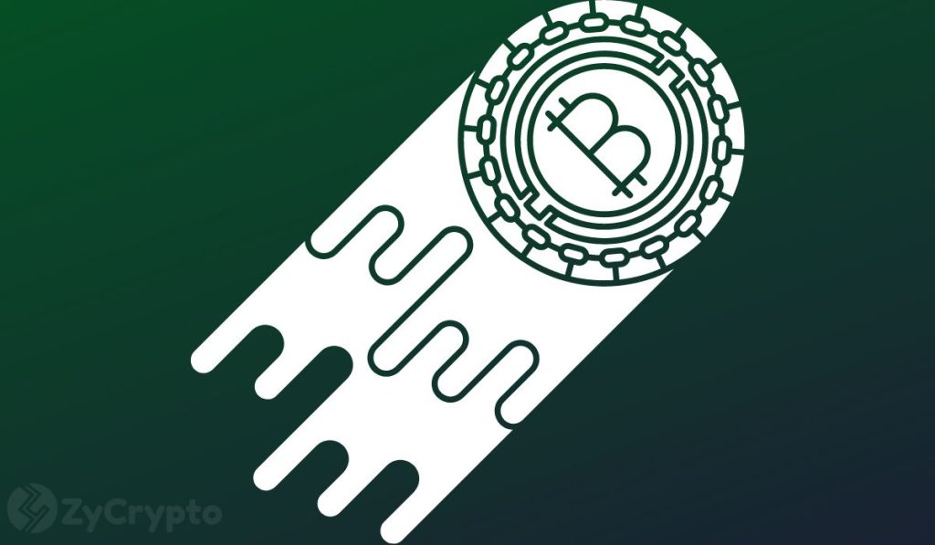 Hoskinson Forecasts Bitcoin Price to Hit $1 Million, Responds to Peter Schiff