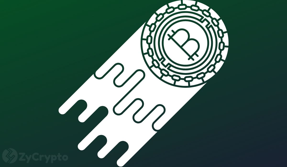 Hoskinson Forecasts Bitcoin Price to Hit $1 Million, Responds to Peter Schiff