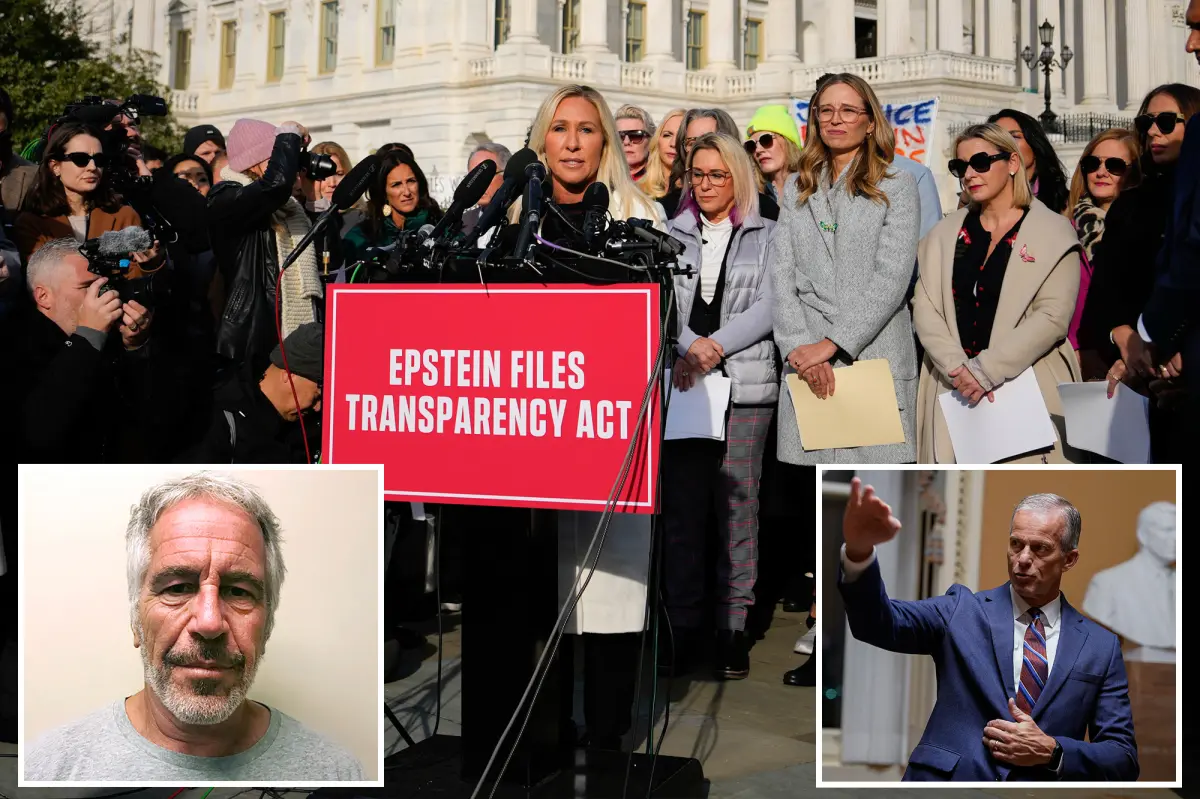 House approves release of Epstein documents, but Speaker Johnson calls on Senate to address concerns in discharge petition