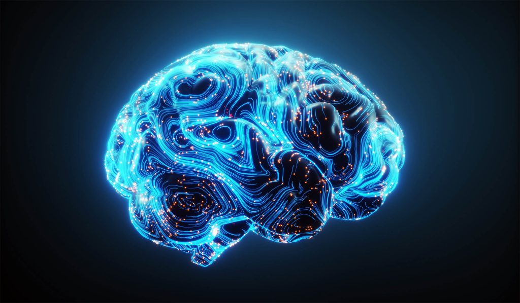 Humans might be born with brains that are already set up to understand the world.