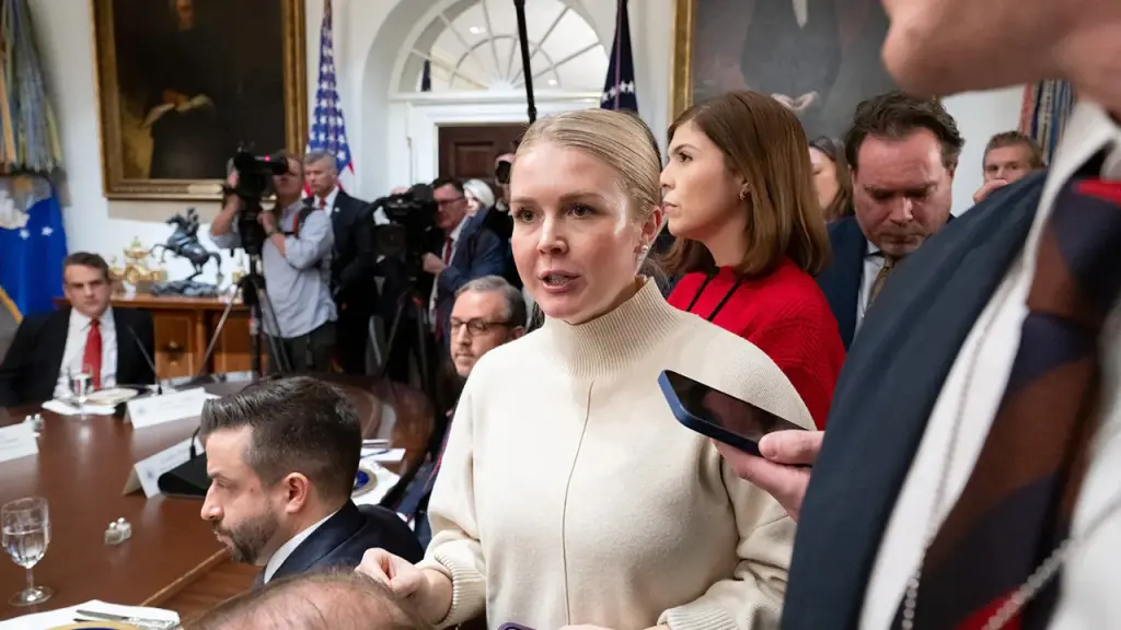 Hungary's Prime Minister Orban seeks to employ Trump's press secretary Karoline Leavitt